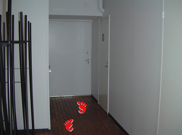 /images/Salin_ovi.jpg